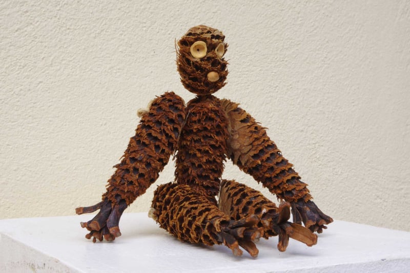 Gorille naturel en pin des landes 1 Sandrine Aguilo